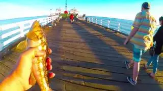 Fishing on Malibu Pier Feb & March 2017