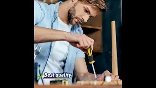 Professional Screwdriver Set with Magnetic Bit Holder