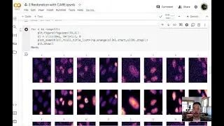 Deep Learning Image Restoration and Segmentation 1 (OSU 2024)