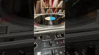 Singing Melody - Why Do Fools Fall In Love #vinyl #music #slengteng #dancehall