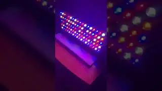 Viparspectra 450w