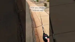 POV you use the Fishbrain app 😂￼