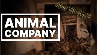 How to play animal company VR #ACHowTo