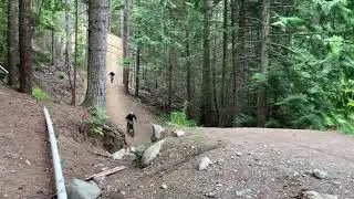 Huge A line crash whistler bike park