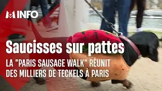 Paris : des milliers de teckels d&eacute;filent lors de la marche des saucisses