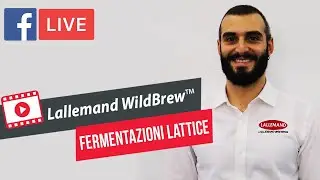 Lallemand WildBrew&trade; Fermentazioni lattice
