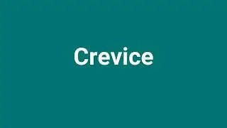 'Crevice' Meaning and Pronunciation