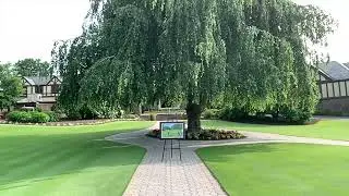 CHARITY GOLF FUNDRAISER FINE ART AUCTION !