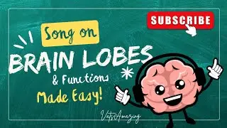 Brain Lobe Song @VatsAmazing Song on Brain lobe and it's functions