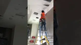 commercial wallcovering/paperhanger installer
