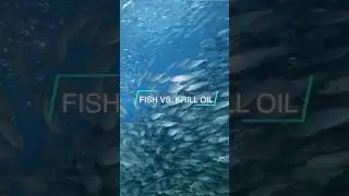 Fish Oil vs. Krill Oil - EPA to DHA Ratios