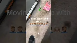 Moving company 🤷🏾&zwj;♂️: #viral #funnymemes #fyp #work