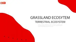 L10: GRASSLAND ECOSYTEM - Terrestrial Ecosystem [ENVS-L010]