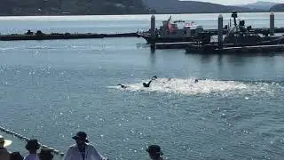 2022년 Open Water Swimming 국제대회 파견 선발대회 남자 10km Start & Finish
