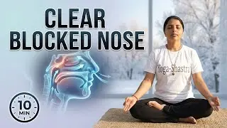 दस मिनट सर्दी के लिए योग I 10 min Yoga for Winter Morning I साइनस, कफ, बंद नाक , टॉन्सिल के लिए योग