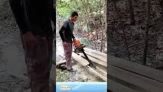 Cắt bằng cưa đĩa tự chế: Người đ&agrave;n &ocirc;ng xử l&yacute; gỗ nhanh hơn, tiết kiệm sức lao động