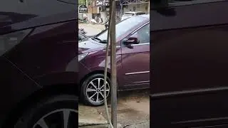 Tata Manza