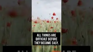 Have patience #motivation #best #shorts #life #new #trending #patience #mindset #unstoppable #quotes