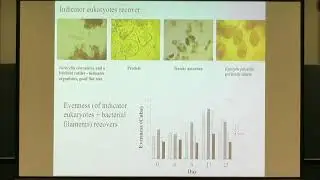 Andrew Free | Plenary Lecture 13: Variability and Alternative Community States in Microbial Commu...