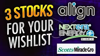 Ask Santa for these 3 stocks for Christmas! See my disc. cash flow model! $ALGN - NEE - SMG