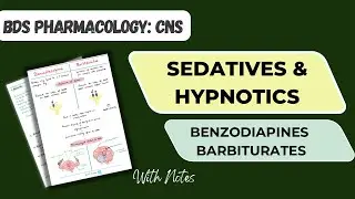 CNS Pharmacology Introduction | Sedatives and Hypnotics | Benzodiazepines | Barbiturates 