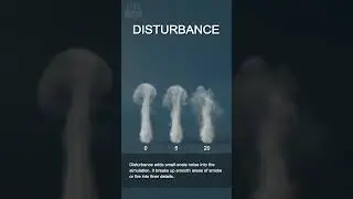 Houdini: Pyro Reference | Disturbance