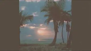 7&Nine x shakambo - Sonhos Tropicais