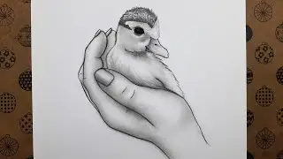 El İçinde Yavru Ördek Çizimi Kolay Karakalem Çizimleri Adım Adım Nasıl Çizilir