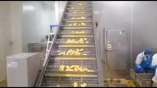 Chicken Nuggets Production Line
