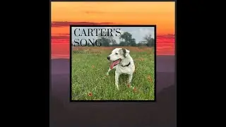 Weldon Henson - Carter's Song (Official Music Video)