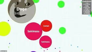 Agar.io-My only teammate!