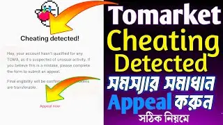 Tomarket Cheating Detected Solution.