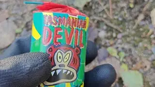 Tasmanian Devil - Rakettikeiu (Vintage hybrid  Fireworks)