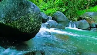 Relaxing Sounds For Sleeping - Tranquil River - Forest Scene For Meditation & Relaxation
