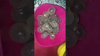 কাঠ লিচু। wood litchi.💙#shorts #viralvideo #trending