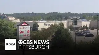 Businesses get creative amid boil water advisory in Robinson Township