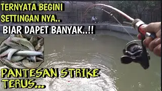 LANGSUNG TEST..!! MANCING LELE PAKAI CARA INI DAPAT BANYAK BANGET | DASARAN VS GANTUNG