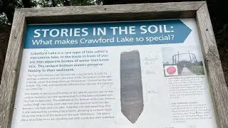 Crawford Lake: rare type  meromictic lake 