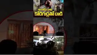 TDP Leaders Attack Ambati With Stones and Eggs | Ambati Rambabu Illegal Arrest | Sakshi TV