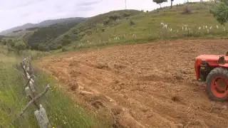 Agria 8980 | Sementeira de Milho