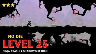 Ninja Arashi 2 Shadow's Return Level 25