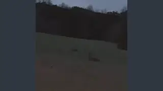 Putmedown