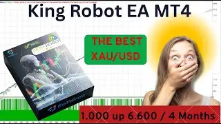 King Robot EA MT4 Review | Profit: $1.000 up $6.600 / 4 Months | EA Forex Store