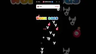 Work dogs New Project Is real ok conekt Work dogs Airdrop #workdogs#dogs #cats #games#free