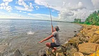 Great! Hardworking Fisherman Fishing Big Fish To Sell
