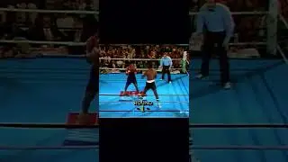 one punch knockout 🚀👊 #boxingedits #viral #fight #boxing #miketyson #shortvideo