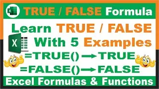 #224-How to use TRUE FALSE Function in Excel with 5 Examples