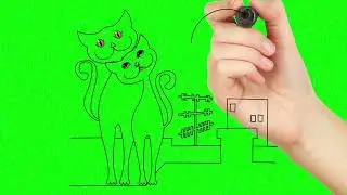 GREEN SCREEN CAT DRAWING ANIMATED HD | FREE TO USE GRAPHICS ANIMATIONS