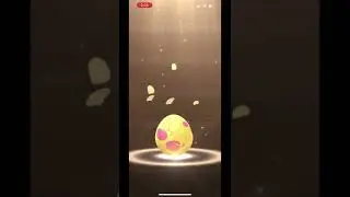 Pokemon Go 7k Egg Hatch