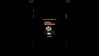 Kung Fu Panda: Sleeping Po Animated AOD
